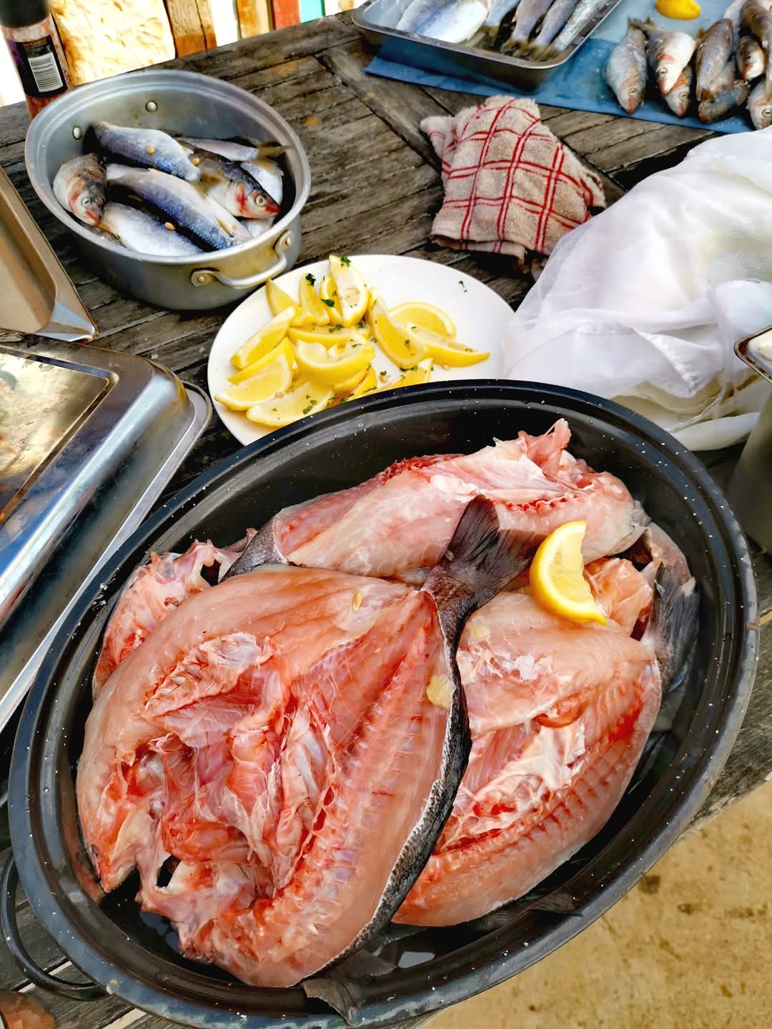 IMG-20250124-WA0058