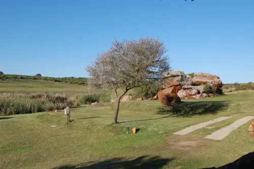 DSC 0680
